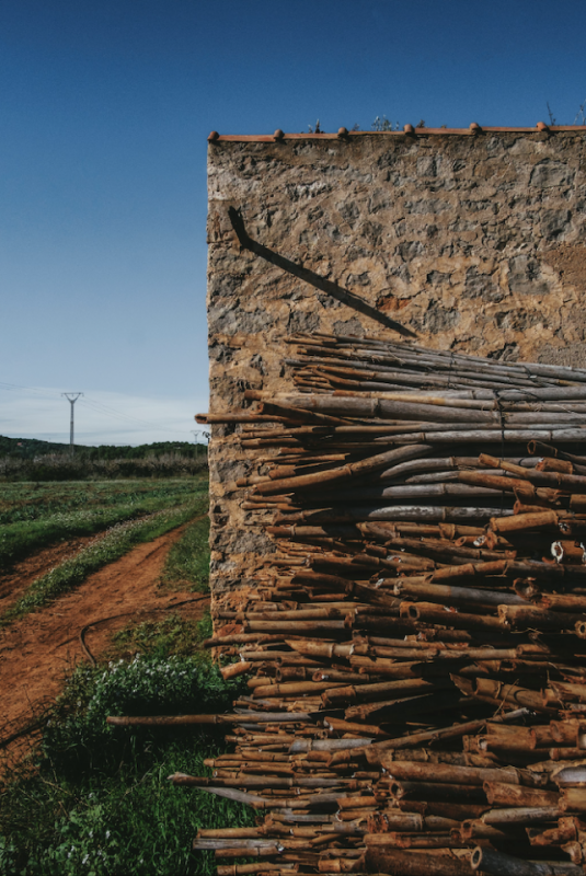 plush74 rental productions locaiton photo film farm ibiza spain00035