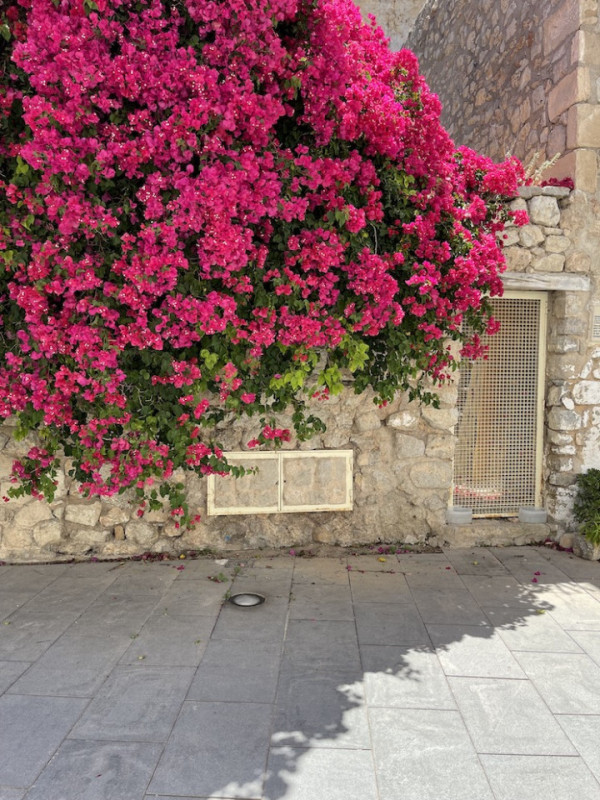 plush74 rental productions locaiton town historic ibiza spain00027