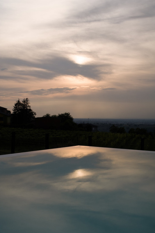 plush74 rinoceronte 16 (5)