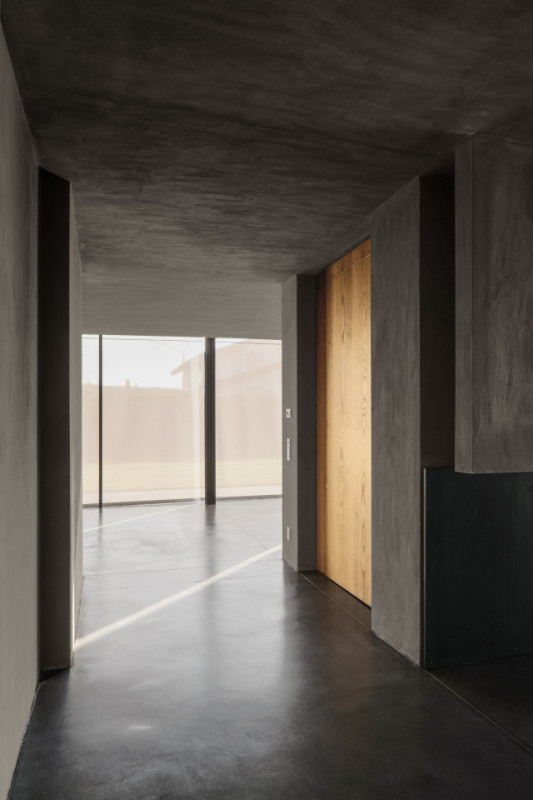 plush74 rinoceronte 3 (1)