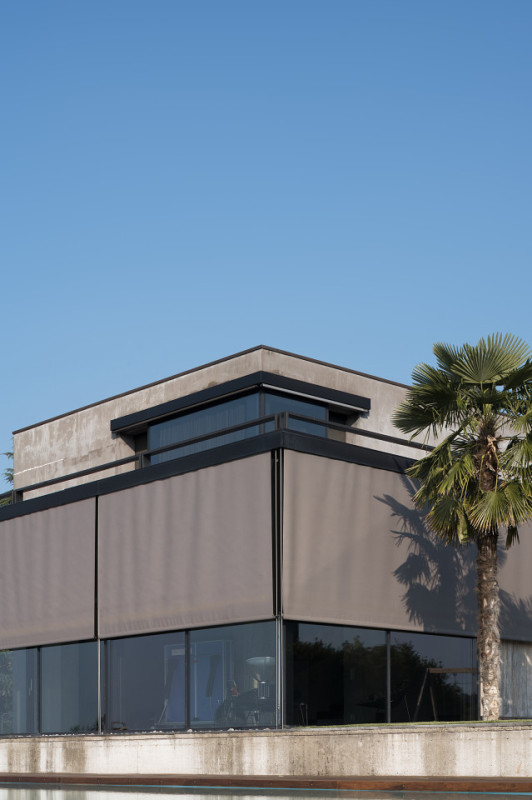 plush74 rinoceronte 3