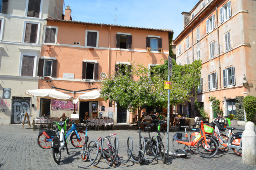 plush74 roma classica 22