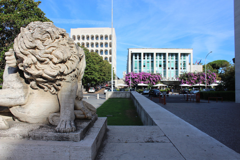 plush74 roma razionale 19