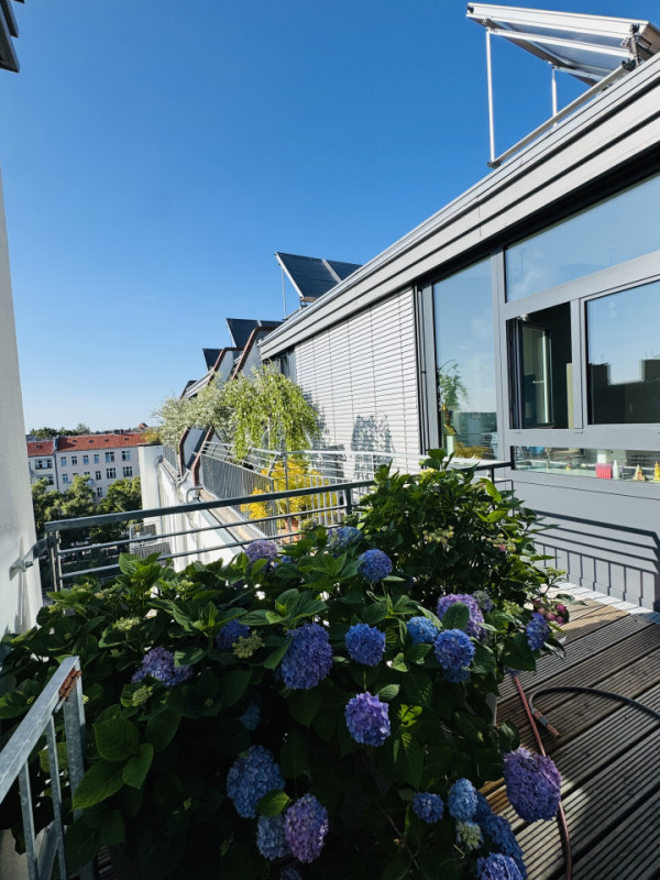 plush74 rooftop garden apartment 33