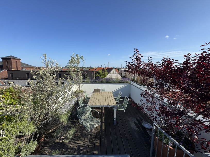 plush74 rooftop garden apartment 34 (4)