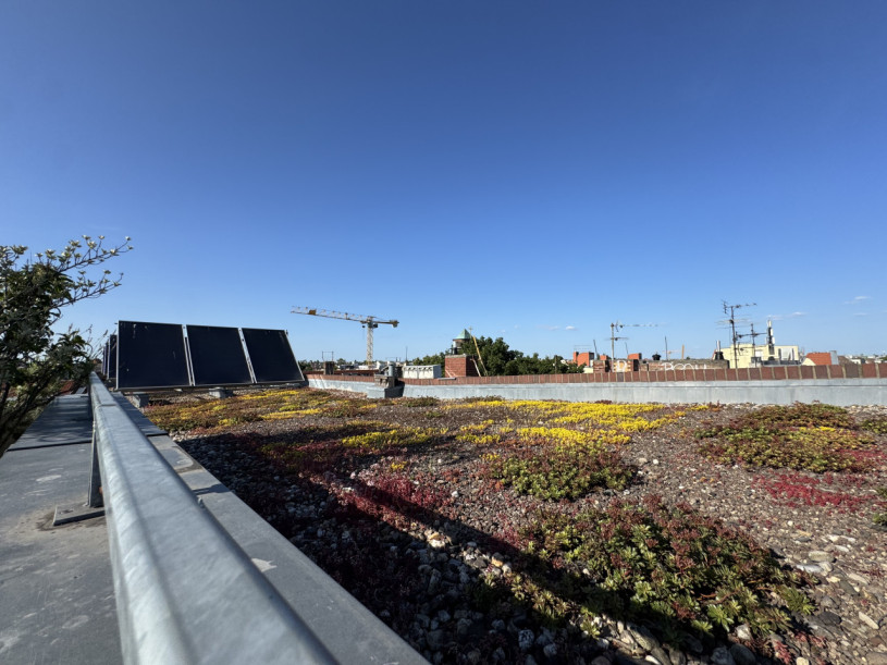 plush74 rooftop garden apartment 34