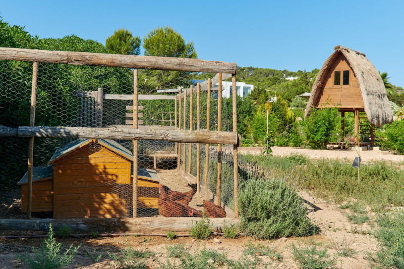 plush74 rustic elegance villa 19