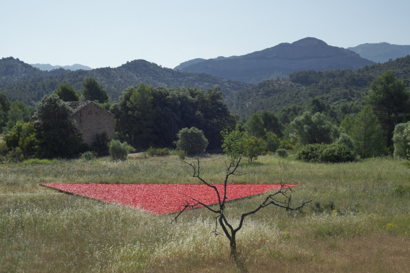 plush74 selection ssgs 11