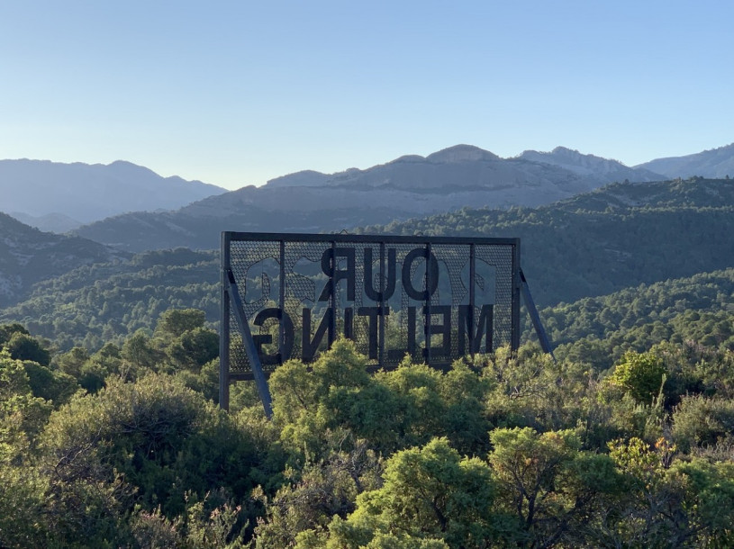 plush74 selection ssgs 13