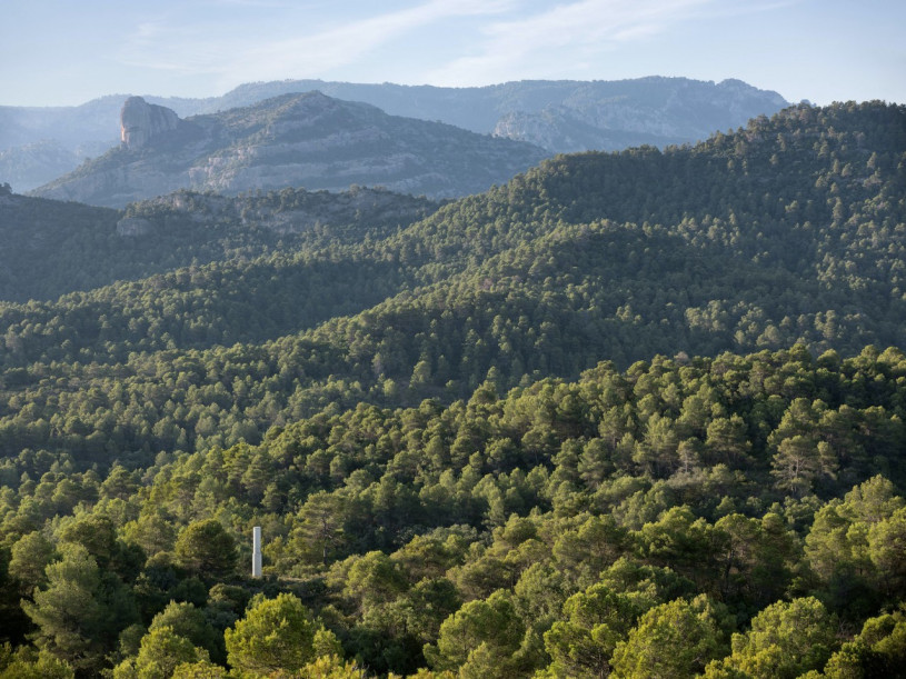 plush74 selection ssgs 4