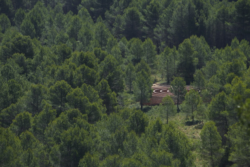 plush74 selection ssgs 5