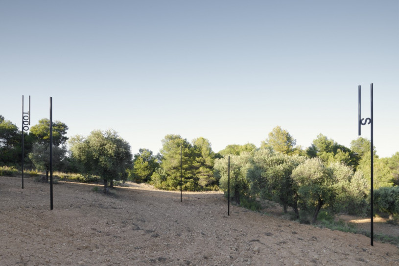 plush74 selection ssgs 7