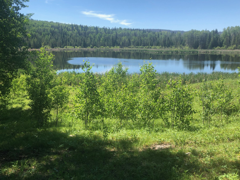 felpa74 sereno frente al lago solar cabañas retiro 9