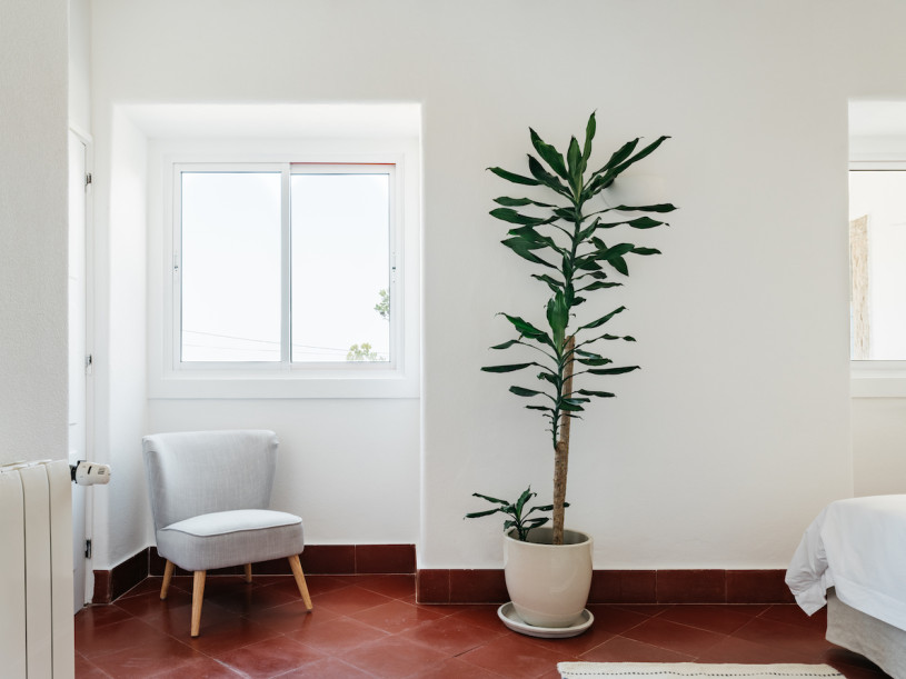 plush74 Südflügel 7