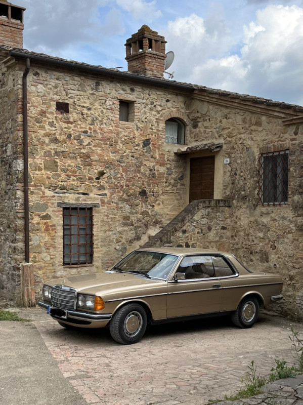 plush74 spacious design apartment 12