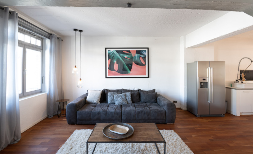 plush74 stylish loft 13