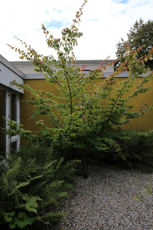 plush74 swiss design apartment 65