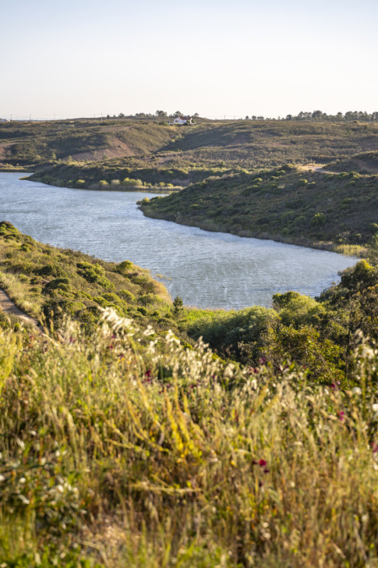 plush74 the beach boutique house 7