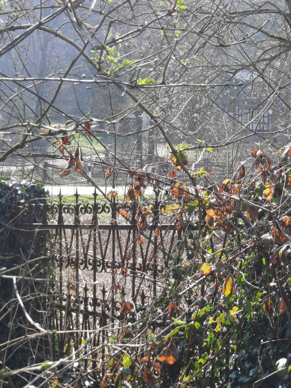 plush74 the glass country club house 19 (1)