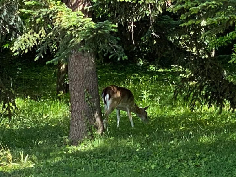 pluche74 toskana lake villa 39