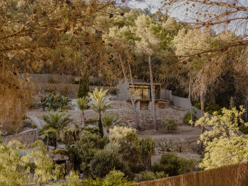 plush74 tropical oasis ibiza 44