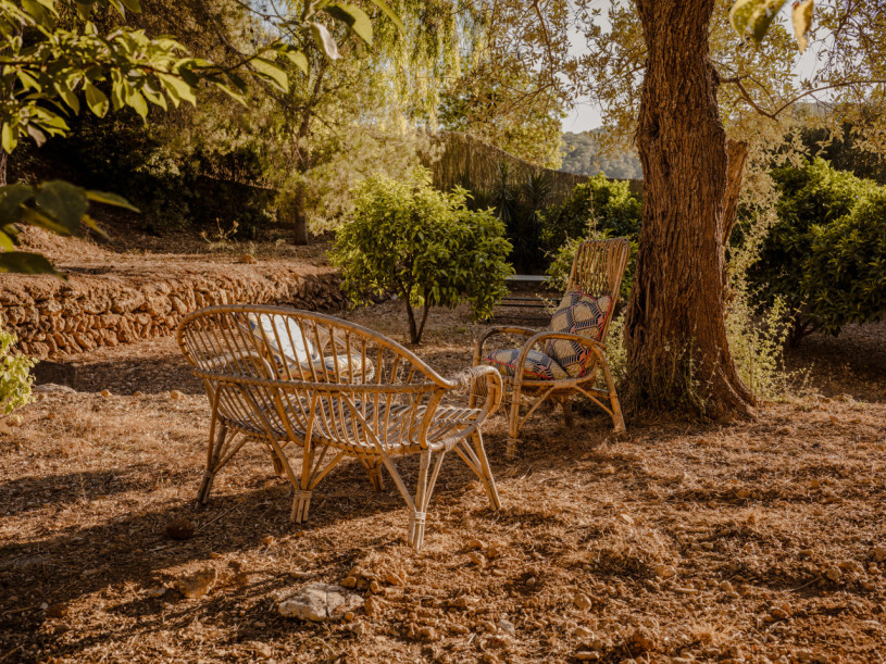 plush74 tropical oasis ibiza 45