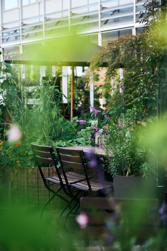 pluche74 urban garden dining 5