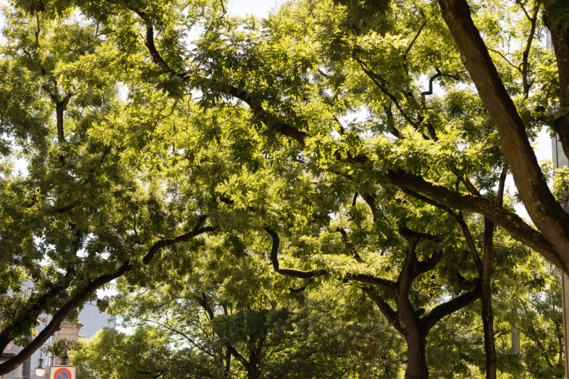 plush74 urban workspace bistro 7