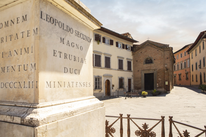 felpa74 villa florencia zona 31