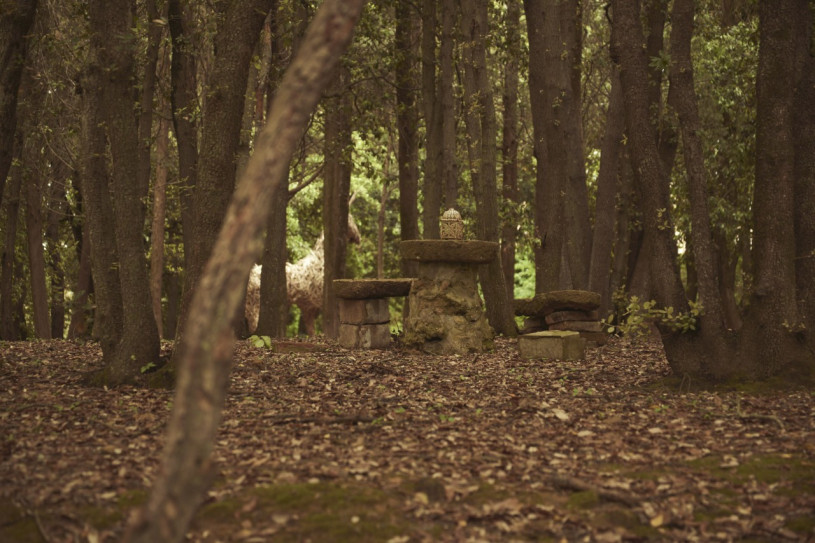 plush74 villa in tuscany 26