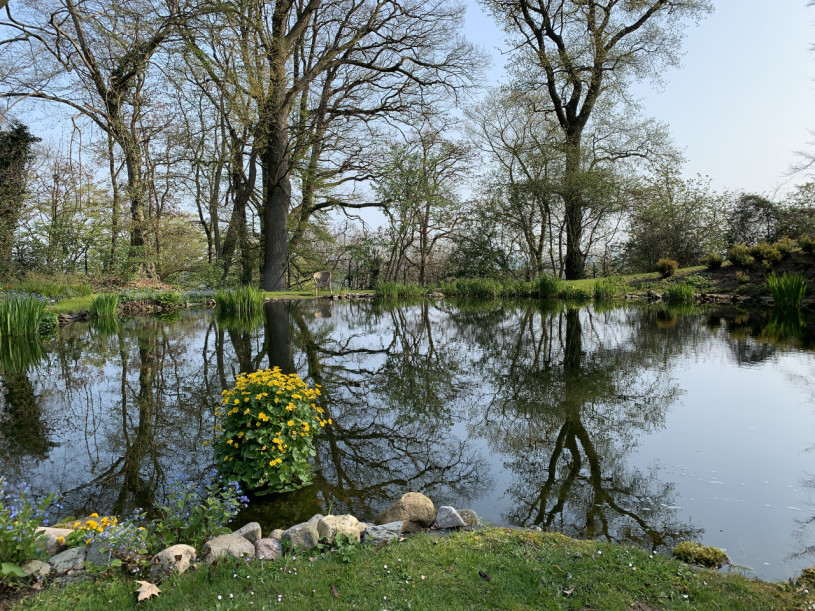 felpa74 villa retiro 18