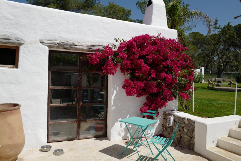 plush74 villa with pool ii ibiza 17