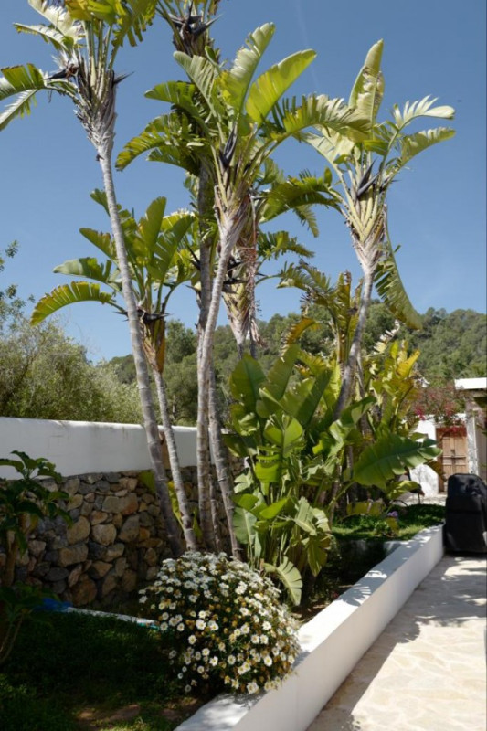 plush74 villa with pool ii ibiza 18