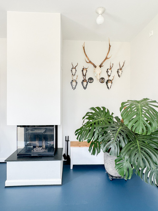 plush74 vintage bauhaus house 2(1)