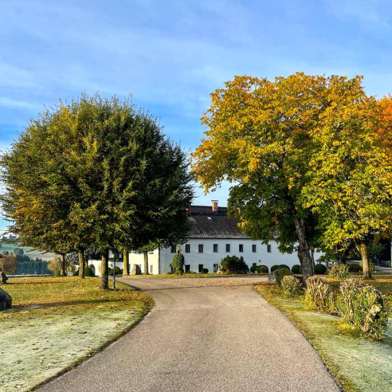 plush74 winklergut 13