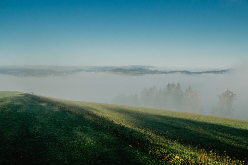 plush74 winklergut 14