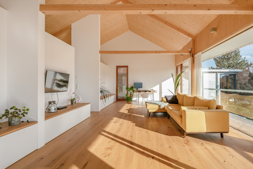 plush74 wooden modern country house 2