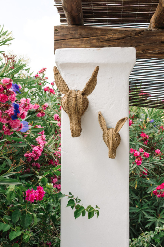 rough luxe suite c ana lui 00002