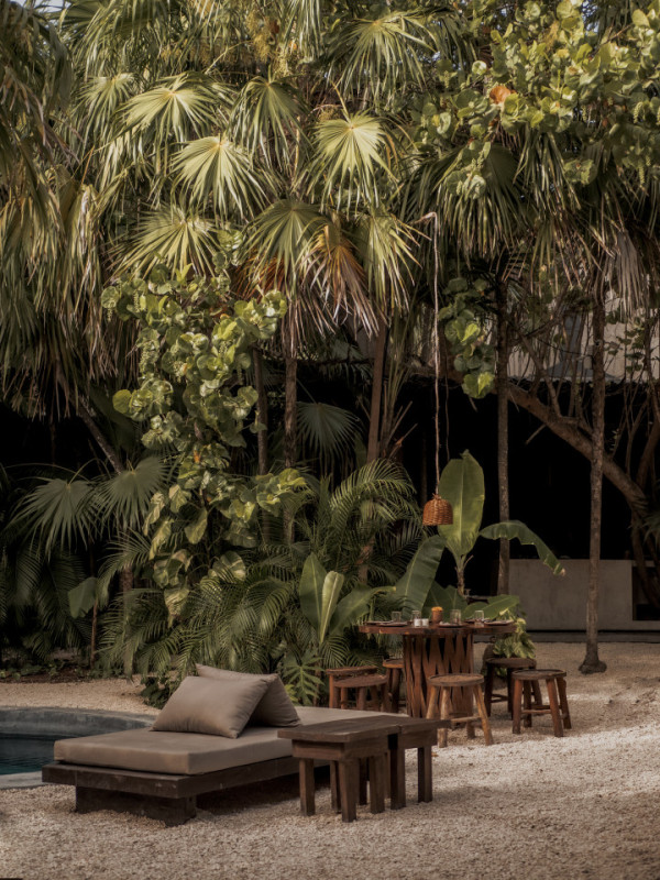 slow tulumtreehouse 01