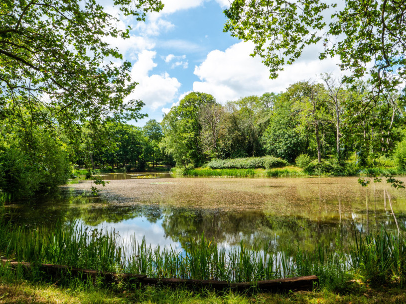 st edwards school lake21